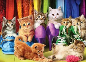 Kitten Pride palapeli 1000 palaa on kanadalaisen Eurographicsin valmistama kissapalapeli.
