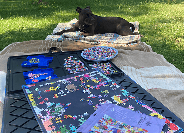 Kesällä palapelisalkun voi viedä ulos ja nauttia palapelaamisesta luonnon ääniä kuunnellen. Keskeneräisen palapelin säilyttäminen salkussa on helppo tapa säilyttää ja siirtää peliä.