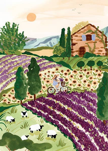 Provence palapeli 2000 palaa on Pieces & Peacen valmistama. Sabina Fennin kuvituksessa nainen pyöräilee kukkaloiston keskellä kesäisessä, ranskalaisessa maisemassa. Lampaat käyskentelevät niityllä. Pieni Harrastepuoti