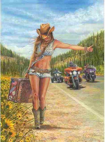 Anatolian 1000p American Gypsy