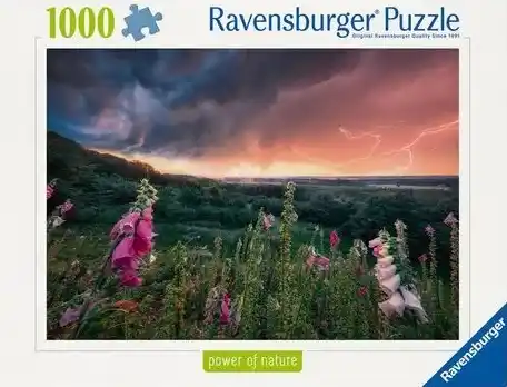 Ravensburger 1000p Dreamy Thunder - Image 2