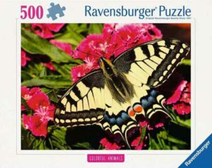 Butterfly palapeli 500 palaa on Ravensburgerin vuoden 2025 uutuus, jossa ritariperhonen on lehahtanut punaisen kukan terälehdille.