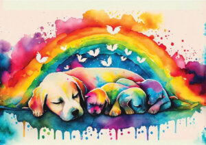 Yazz Puppies palapeli 1000 palaa, jossa suloiset koiranpennut nukkuvat äitinsä kanssa. koira palapeli