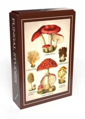 Fungal Studies palapeli 99 palaa on tanskalaisen Penny Puzzlen sieniaiheinen minipalapeli.