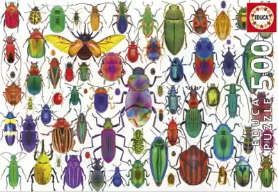 Beetles palapeli 500 palaa on Educan koppakuoriaiset-palapeli. Värikkäät hyönteiset on kuvattu kuin opetustaulussa Lars Stewart