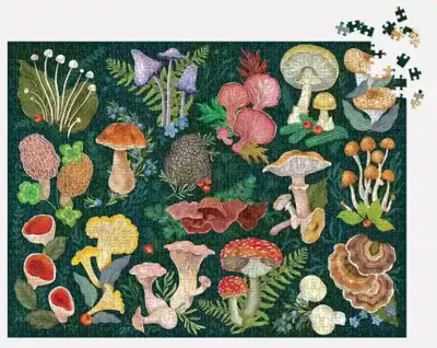 World of Mushrooms palapeli 1000 palaa on Galisonin sienipalapeli, jonka on kuvittanut Olga Akbarova.