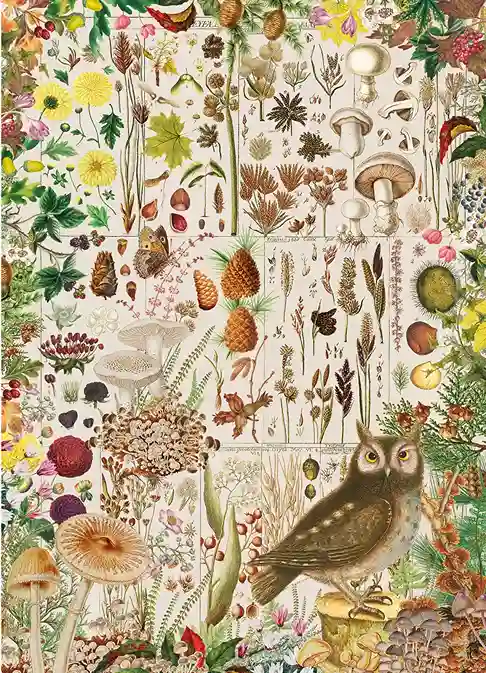 RHS Fall Flora palapeli 1000 palaa esittelee Christian Gottlieb Geisslerin (s. 1729-1814) syksyisiä kasveja.