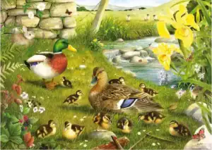 Ducks to Water palapeli 500 palaa on House of Puzzles (HOP) sorsa-aiheinen palapeli, kuvitus Tracy Hall.