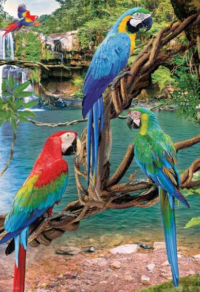 Macaws palapeli 250 palaa on papukaijat-aiheinen palapeli, joka kuuluu Eurographicsin Save Our Planet -sarjaan.