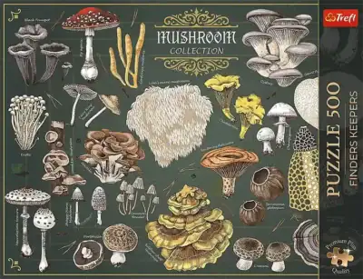 Mushroom palapeli 500 palaa on sienipalapeli, jossa sienikuvien lisäksi lajien nimet Treflin opetustauluaiheinen palapeli