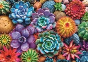 Colorful Succulents on 1000 palan palapeli, jossa kuvana on värikäs kokoelma mehikasveja.