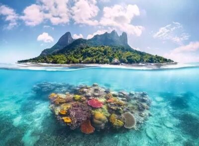 Ravensburger Island and Coral World palapeli 500 palaa - Image 2