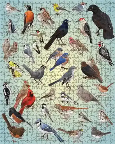 Backyard Birds on 1000 palan taidepalapeli ja lintupalapeli, joka perustuu kuvittaja ja luonnontieteilijä Casey Girardin lintukuvituksiin.