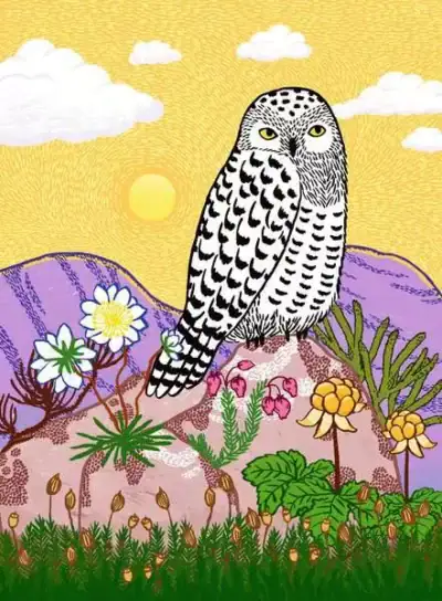 Ravensburger Snowy Owl on 500 palan palapeli, jonka rauhallinen talvimaisema tuo esiin lumipöllön majesteettisen kauneuden, kuvitus Valpuri Kerttula