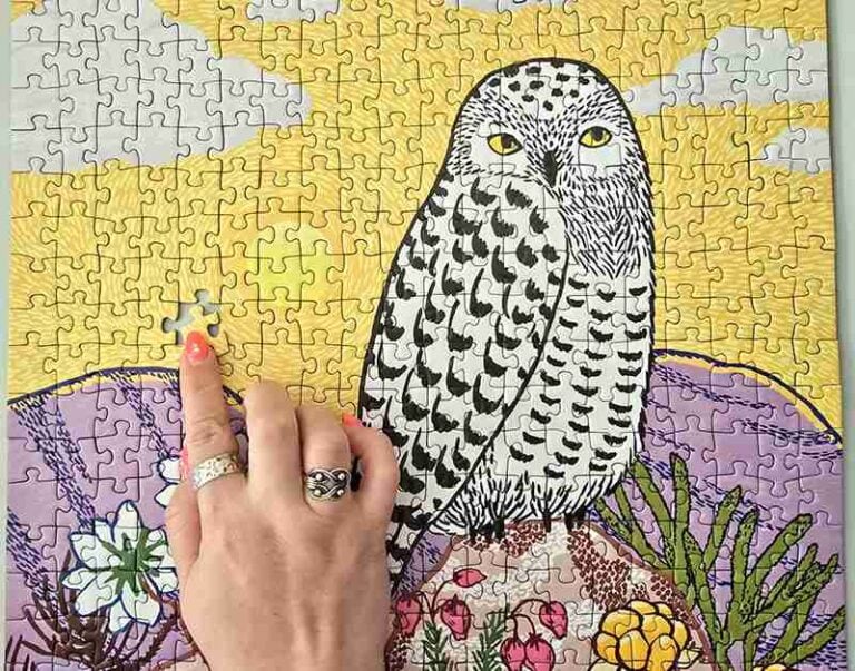Valpuri Kerttula – Snowy Owl palapelin kuvittaja SM-kisojen finaalipelin takana