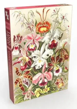 Penny Puzzle Orchids -palapeli 500 palaa on kauniisti kuvitettu orkideat-palapeli