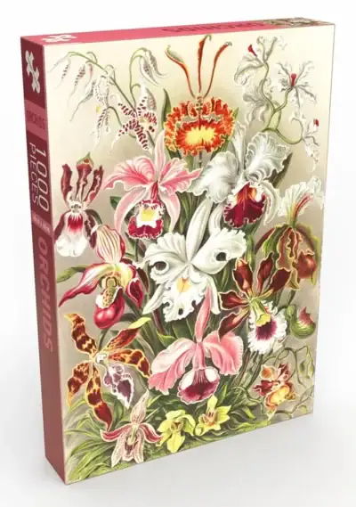 Penny Puzzle Orchids -palapeli 500 palaa on kauniisti kuvitettu orkideat-palapeli