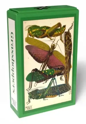 Grasshoppers Vintage palapeli 99 palaa on tanskalaisen Penny Puzzlen heinäsirkat aiheinen minipalapeli.