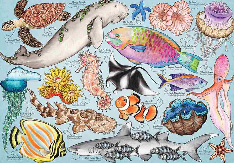 House of Puzzles palapeli Great Barrier Reef 1000 palaa, brittiläinen palapelimerkki