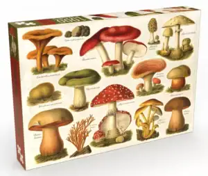 Penny Puzzle Fungal Gallery palapeli 1000 palaa vie sienien kiehtovaan maailmaan sienet palapeli