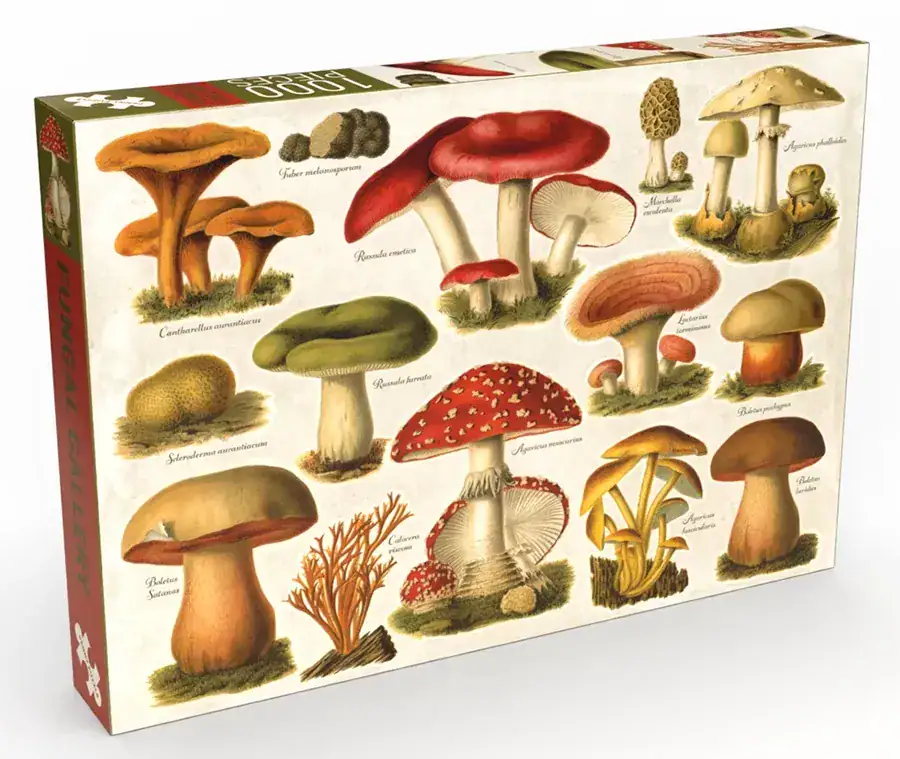 Penny Puzzle Fungal Gallery palapeli 1000 palaa vie sienien kiehtovaan maailmaan sienet palapeli