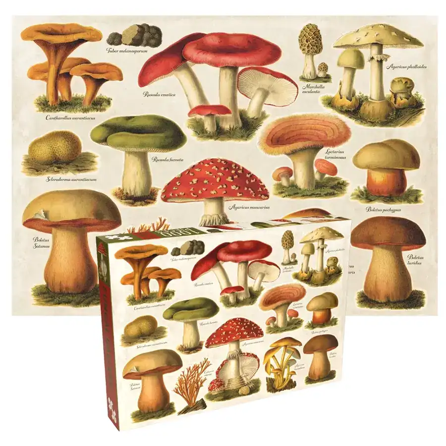 Penny Puzzle Fungal Gallery palapeli 1000 palaa vie sienien kiehtovaan maailmaan